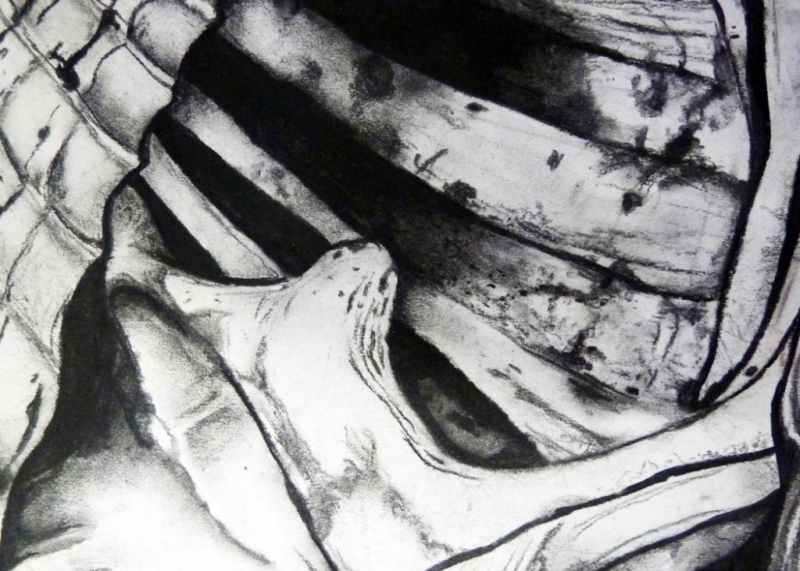 Jessica Johnson-Fine Art- Grade B- Chalk & Charcoal